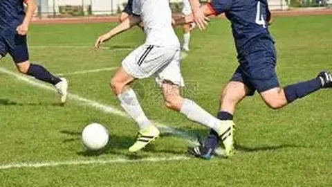 【七彩梦幻海豚】揭秘福彩3D第2026021期：精准定三跨度，好运随行！